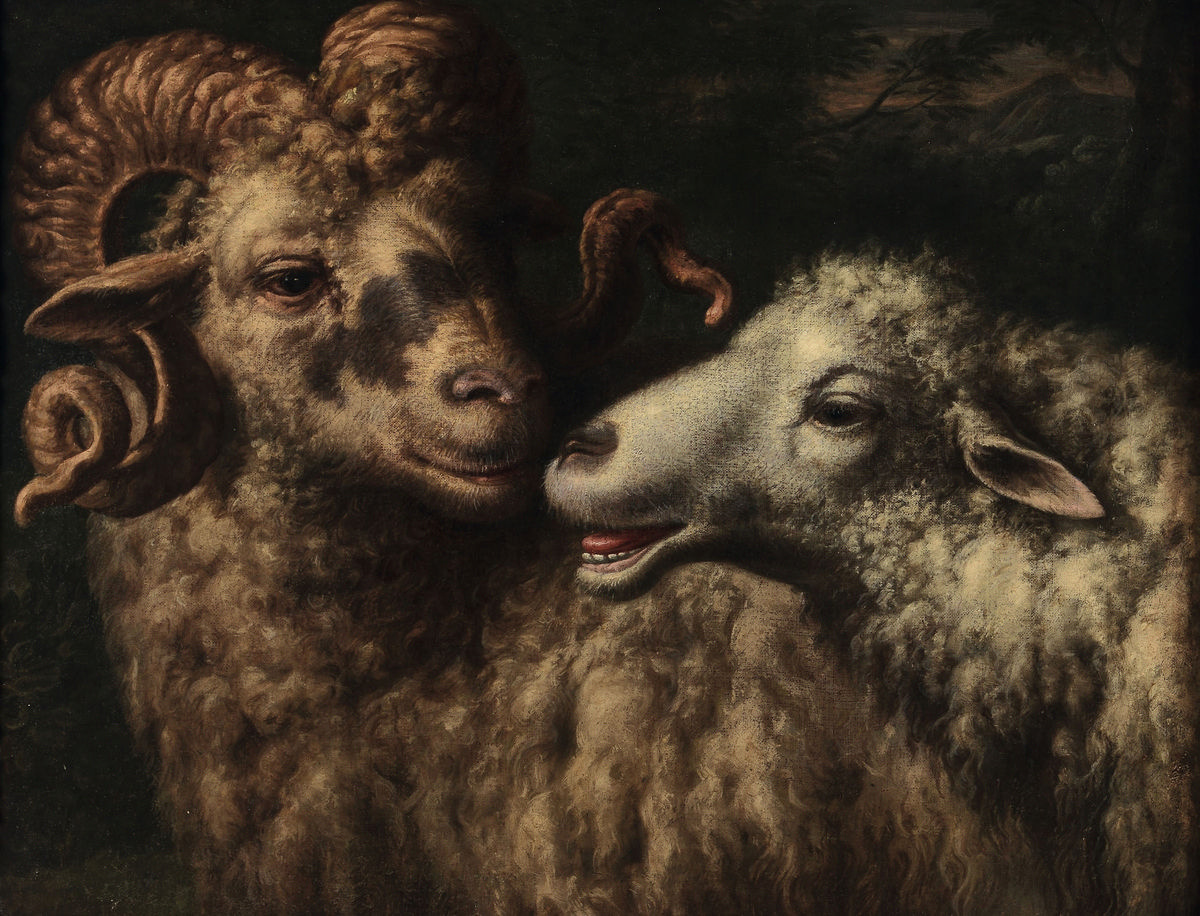 Картина Неизвестный художник «Овца и баран», артикул poster_96375