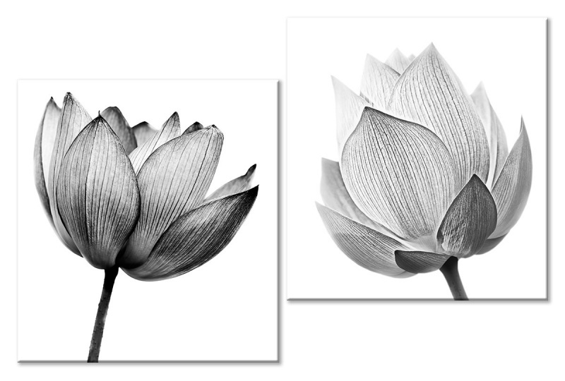 Картина из частей на холсте - Модульная картина «Черно-белые цветы»