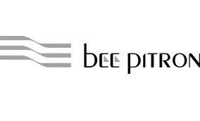 500-bee-pitron.jpg